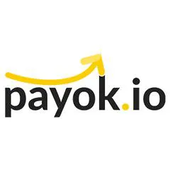 Payok.io